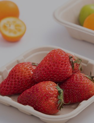 Fruits & Vegetables